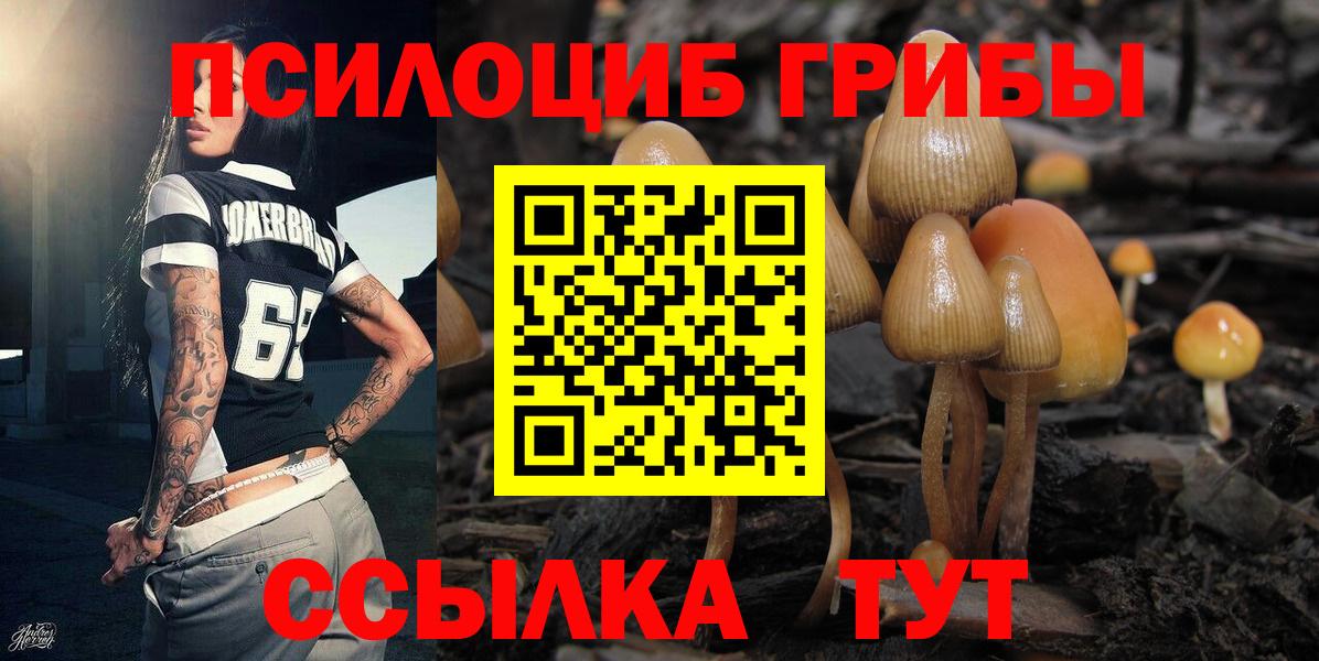 Россия  Галлюциногенные грибы Psilocybe  закладки  Вход с VPN 
