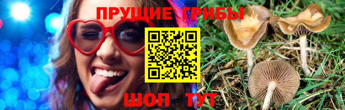 Псилоцибиновые грибы ЛСД Россия